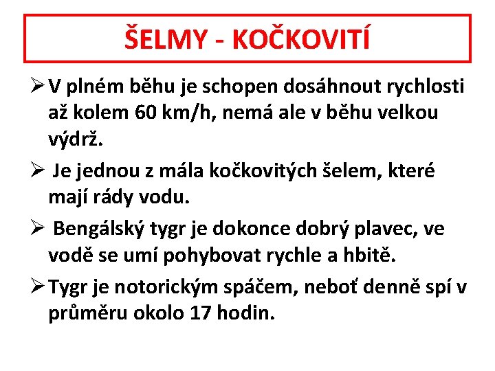 ŠELMY - KOČKOVITÍ Ø V plném běhu je schopen dosáhnout rychlosti až kolem 60