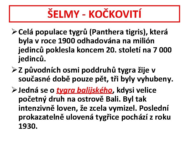 ŠELMY - KOČKOVITÍ Ø Celá populace tygrů (Panthera tigris), která byla v roce 1900