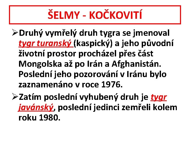 ŠELMY - KOČKOVITÍ ØDruhý vymřelý druh tygra se jmenoval tygr turanský (kaspický) a jeho