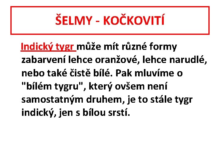 ŠELMY - KOČKOVITÍ Indický tygr může mít různé formy zabarvení lehce oranžové, lehce narudlé,