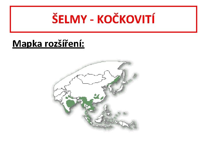 ŠELMY - KOČKOVITÍ Mapka rozšíření: 