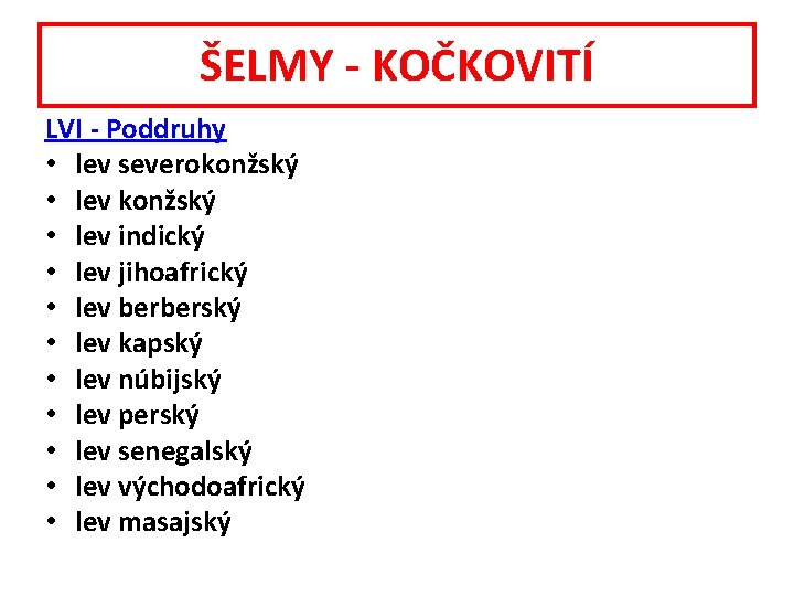 ŠELMY - KOČKOVITÍ LVI - Poddruhy • lev severokonžský • lev indický • lev