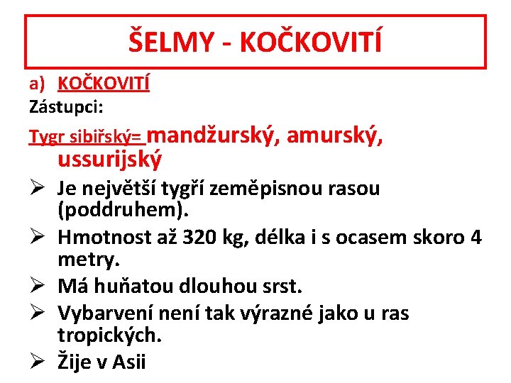 ŠELMY - KOČKOVITÍ a) KOČKOVITÍ Zástupci: Tygr sibiřský= mandžurský, amurský, ussurijský Ø Je největší