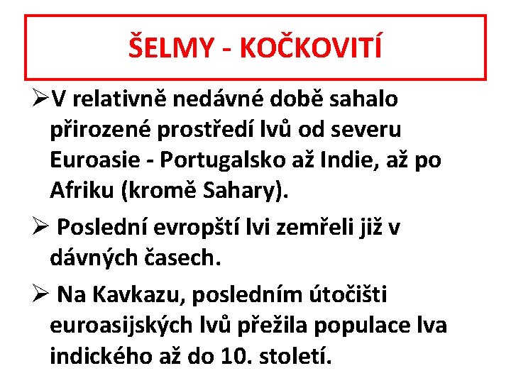 ŠELMY - KOČKOVITÍ ØV relativně nedávné době sahalo přirozené prostředí lvů od severu Euroasie