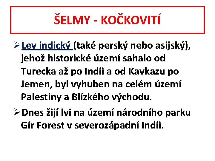 ŠELMY - KOČKOVITÍ ØLev indický (také perský nebo asijský), jehož historické území sahalo od