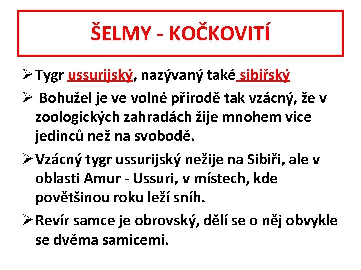 ŠELMY - KOČKOVITÍ Ø Tygr ussurijský, nazývaný také sibiřský Ø Bohužel je ve volné