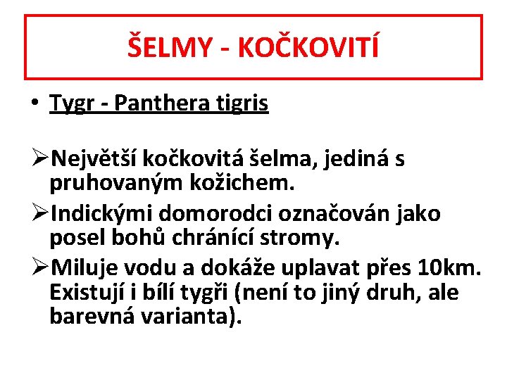 ŠELMY - KOČKOVITÍ • Tygr - Panthera tigris ØNejvětší kočkovitá šelma, jediná s pruhovaným