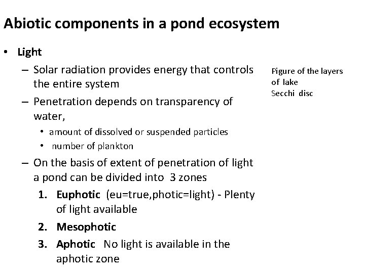 Abiotic components in a pond ecosystem • Light – Solar radiation provides energy that