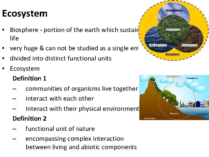 Ecosystem • Biosphere - portion of the earth which sustains life • very huge