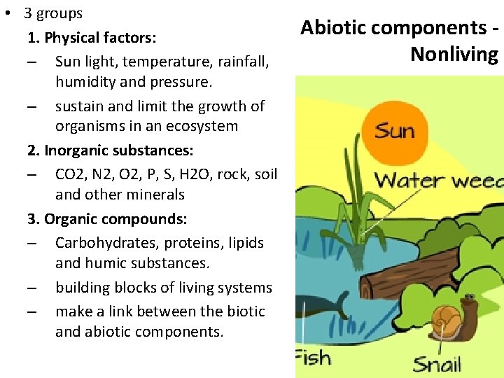  • 3 groups 1. Physical factors: – Sun light, temperature, rainfall, humidity and