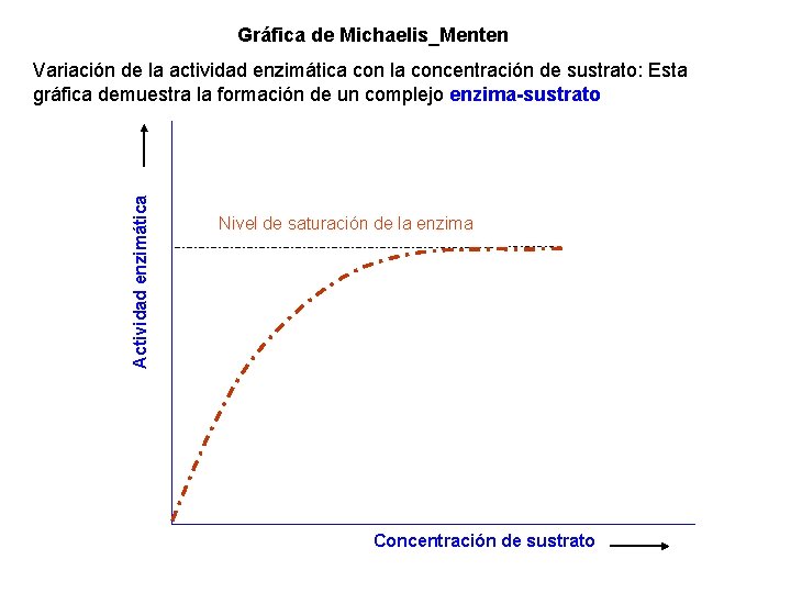 Gráfica de Michaelis_Menten Actividad enzimática Variación de la actividad enzimática con la concentración de