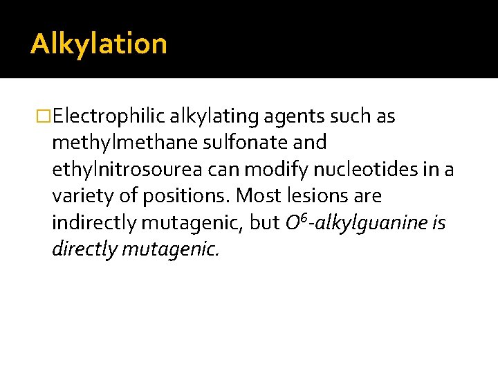 Alkylation �Electrophilic alkylating agents such as methylmethane sulfonate and ethylnitrosourea can modify nucleotides in