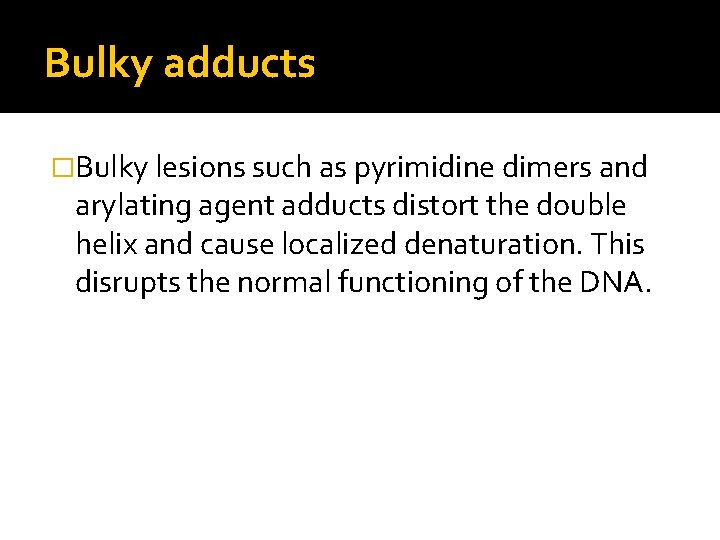Bulky adducts �Bulky lesions such as pyrimidine dimers and arylating agent adducts distort the