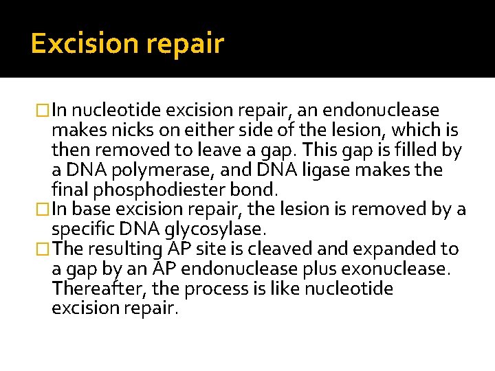 Excision repair �In nucleotide excision repair, an endonuclease makes nicks on either side of