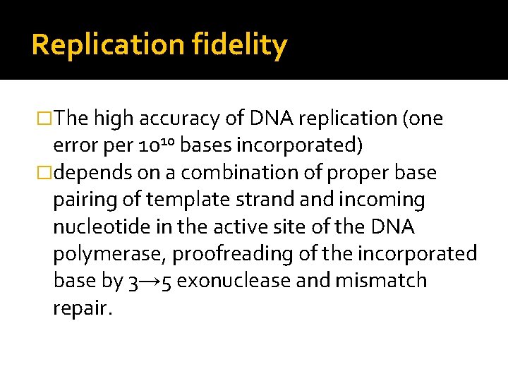 Replication fidelity �The high accuracy of DNA replication (one error per 1010 bases incorporated)