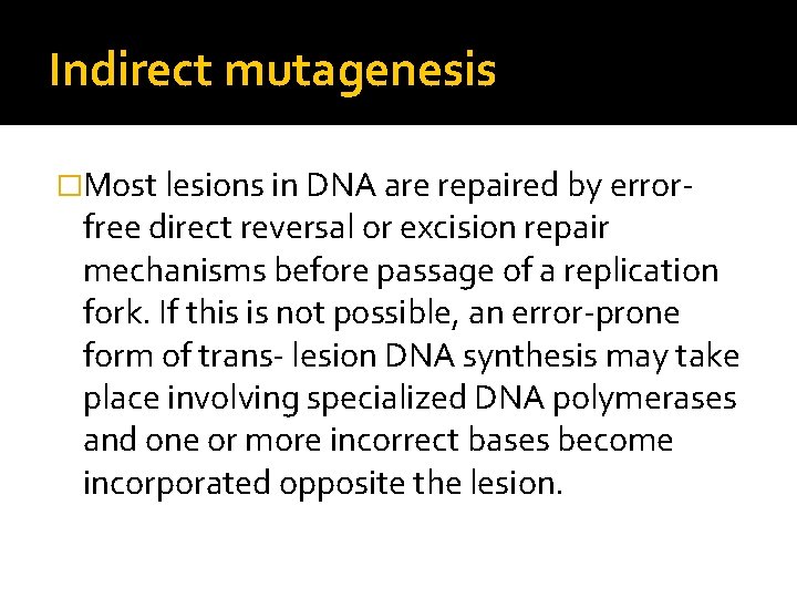 Indirect mutagenesis �Most lesions in DNA are repaired by error- free direct reversal or