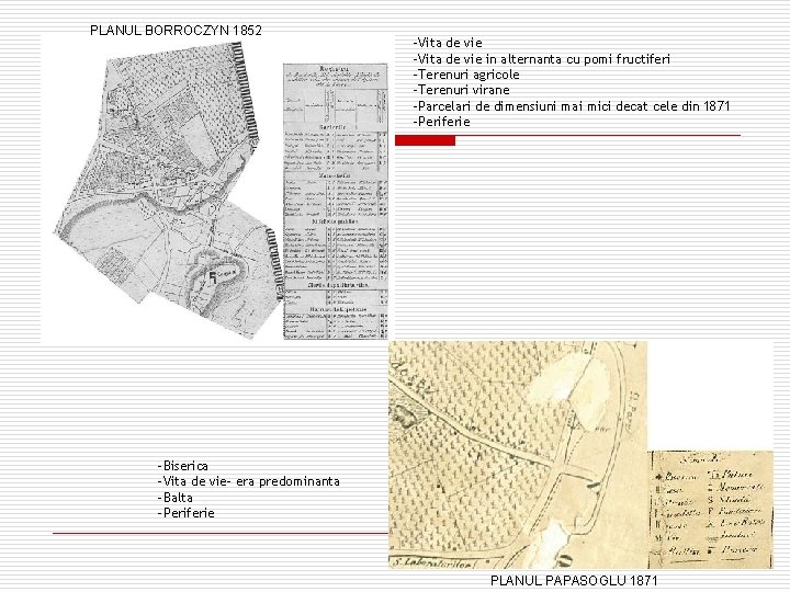 PLANUL BORROCZYN 1852 -Vita de vie in alternanta cu pomi fructiferi -Terenuri agricole -Terenuri