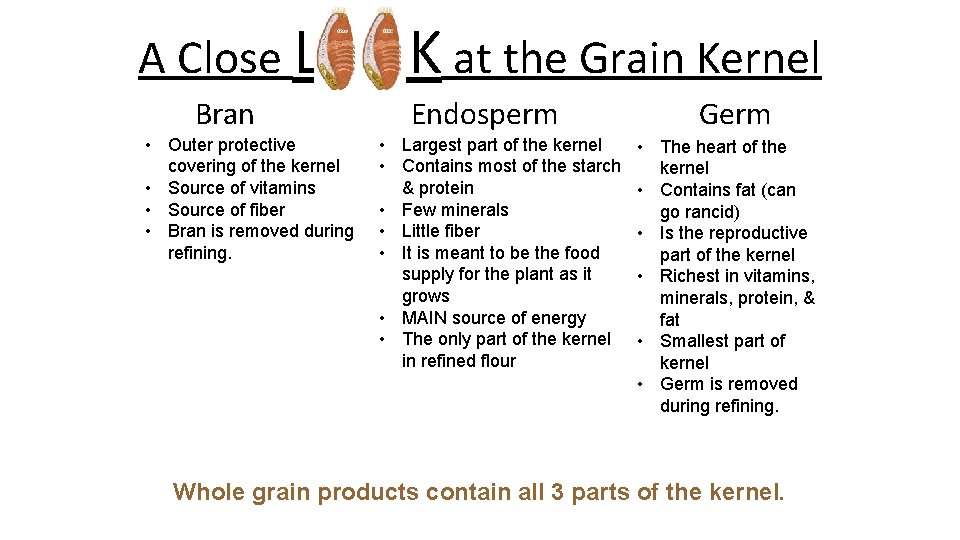 A Close LOOK at the Grain Kernel Bran • Outer protective covering of the