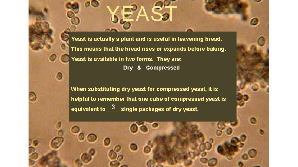 YEAST Yeast is actually a plant and is useful in leavening bread. This means