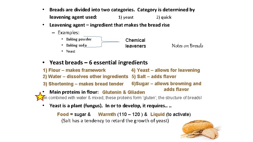  • Breads are divided into two categories. Category is determined by leavening agent
