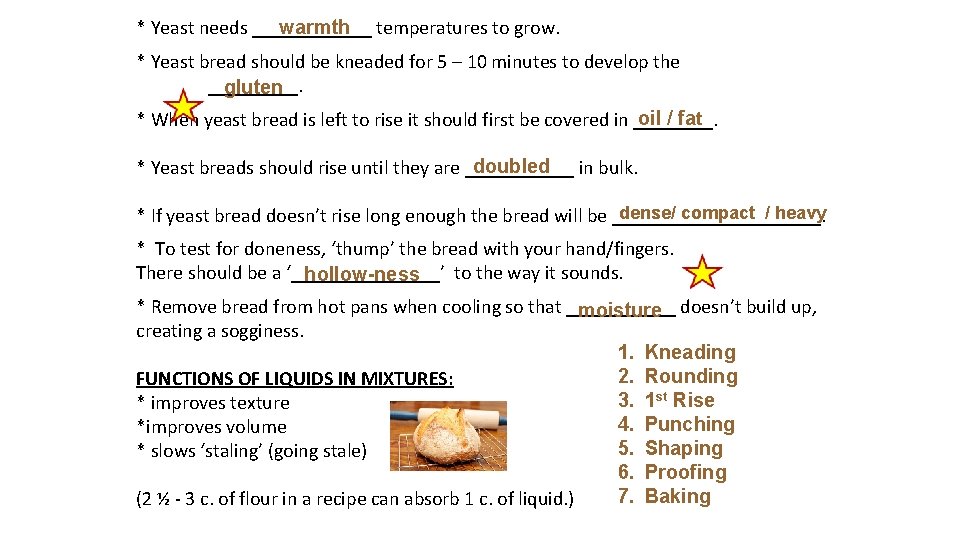 warmth temperatures to grow. * Yeast needs ______ * Yeast bread should be kneaded