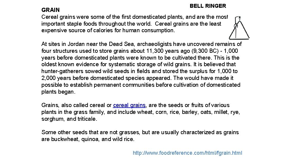 BELL RINGER GRAIN Cereal grains were some of the first domesticated plants, and are