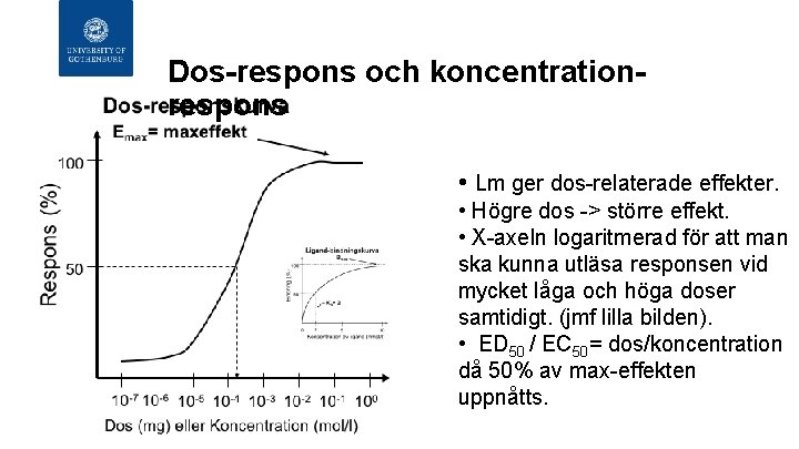 Dos-respons och koncentrationrespons • Lm ger dos-relaterade effekter. • Högre dos -> större effekt.