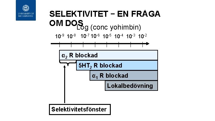 SELEKTIVITET – EN FRÅGA OM DOS Log (conc yohimbin) 10 -9 10 -8 10