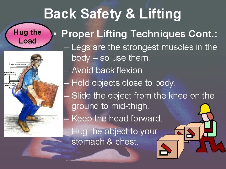 Back Safety & Lifting Hug the Load • Proper Lifting Techniques Cont. : – Back Safety & Lifting Hug the Load • Proper Lifting Techniques Cont. : –