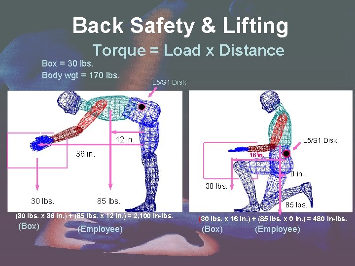Back Safety & Lifting Torque = Load x Distance Box = 30 lbs. Body Back Safety & Lifting Torque = Load x Distance Box = 30 lbs. Body