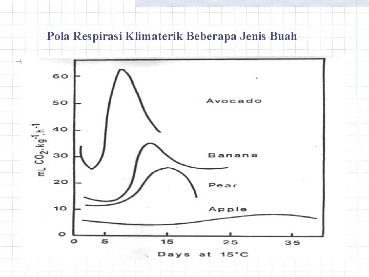 Pola Respirasi Klimaterik Beberapa Jenis Buah Pola Respirasi Klimaterik Beberapa Jenis Buah