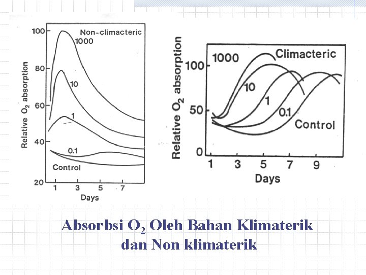 Absorbsi O 2 Oleh Bahan Klimaterik dan Non klimaterik Absorbsi O 2 Oleh Bahan Klimaterik dan Non klimaterik