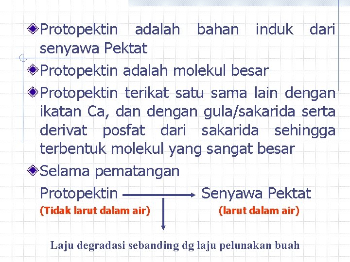 Protopektin adalah bahan induk dari senyawa Pektat Protopektin adalah molekul besar Protopektin terikat satu Protopektin adalah bahan induk dari senyawa Pektat Protopektin adalah molekul besar Protopektin terikat satu