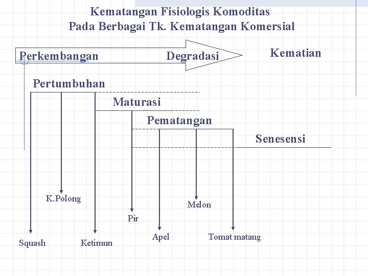 Kematangan Fisiologis Komoditas Pada Berbagai Tk. Kematangan Komersial Perkembangan Kematian Degradasi Pertumbuhan Maturasi Pematangan Kematangan Fisiologis Komoditas Pada Berbagai Tk. Kematangan Komersial Perkembangan Kematian Degradasi Pertumbuhan Maturasi Pematangan