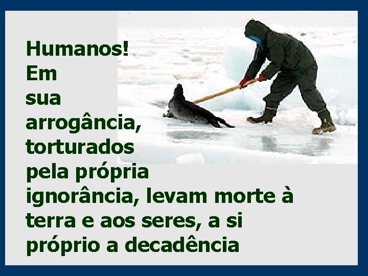 Humanos! Em sua arrogância, torturados pela própria ignorância, levam morte à terra e aos