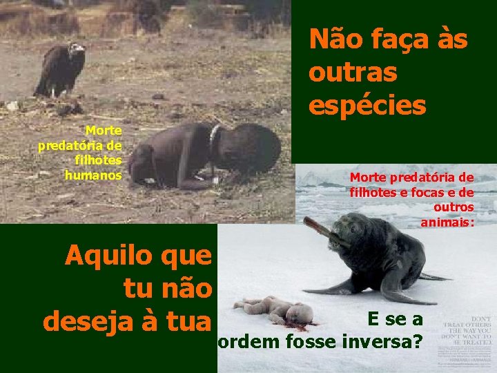 Não faça às outras espécies Morte predatória de filhotes humanos Aquilo que tu não