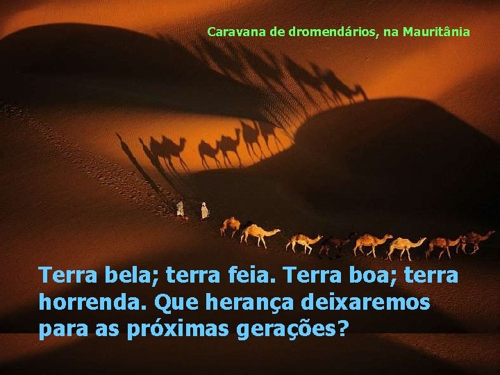 Caravana de dromendários, na Mauritânia Terra bela; terra feia. Terra boa; terra horrenda. Que