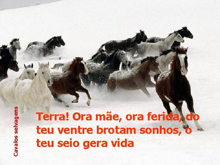 Cavalos selvagens Terra! Ora mãe, ora ferida, do teu ventre brotam sonhos, o teu