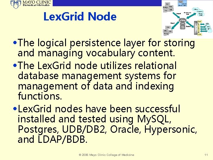 Biomedical Informatics Lex. Grid Node • The logical persistence layer for storing and managing