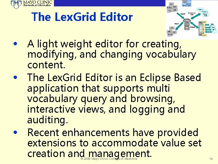 Biomedical Informatics The Lex. Grid Editor • A light weight editor for creating, •
