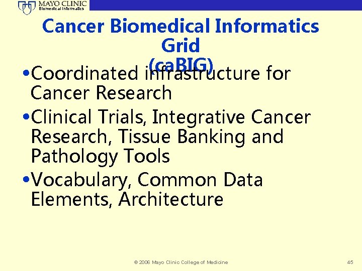 Biomedical Informatics Cancer Biomedical Informatics Grid (ca. BIG) • Coordinated infrastructure for Cancer Research