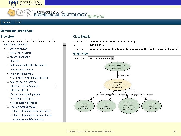 Biomedical Informatics Bio. Portal Stanford University Archana Vembakam and Lynn Murphy © 2006 Mayo