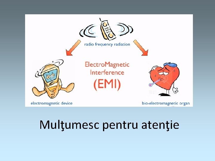 Mulţumesc pentru atenţie 