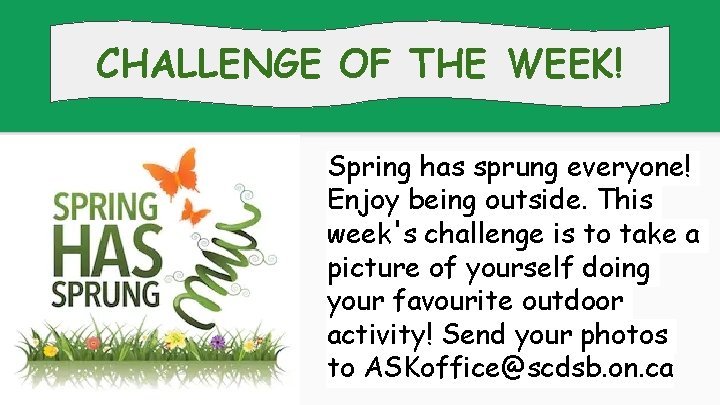 CHALLENGE OF THE WEEK! Spring has sprung everyone! Enjoy being outside. This week's challenge