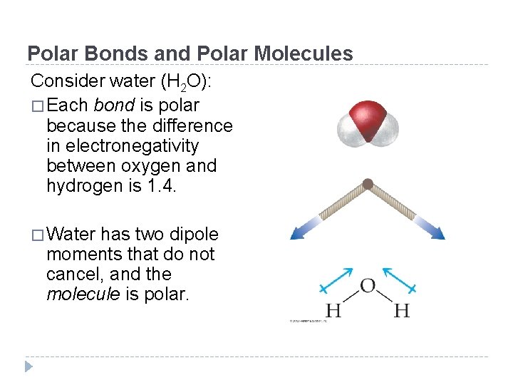 Polar Bonds and Polar Molecules Consider water (H 2 O): � Each bond is