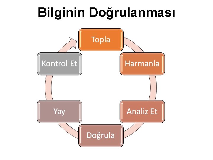 Bilginin Doğrulanması 