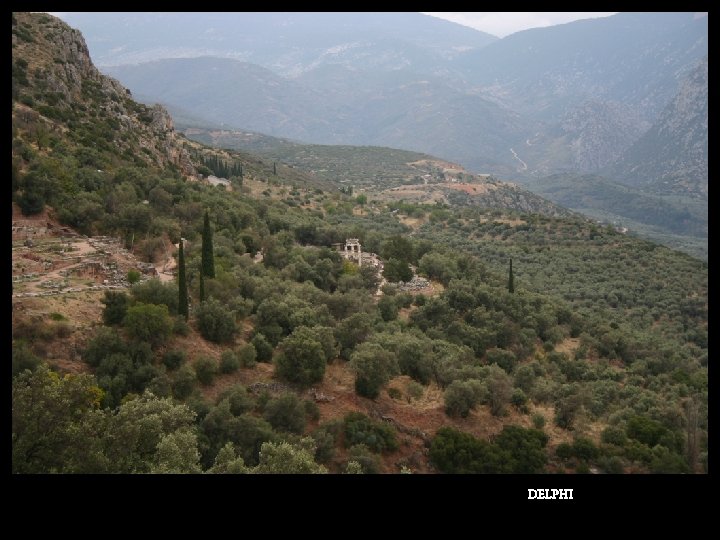 DELPHI 