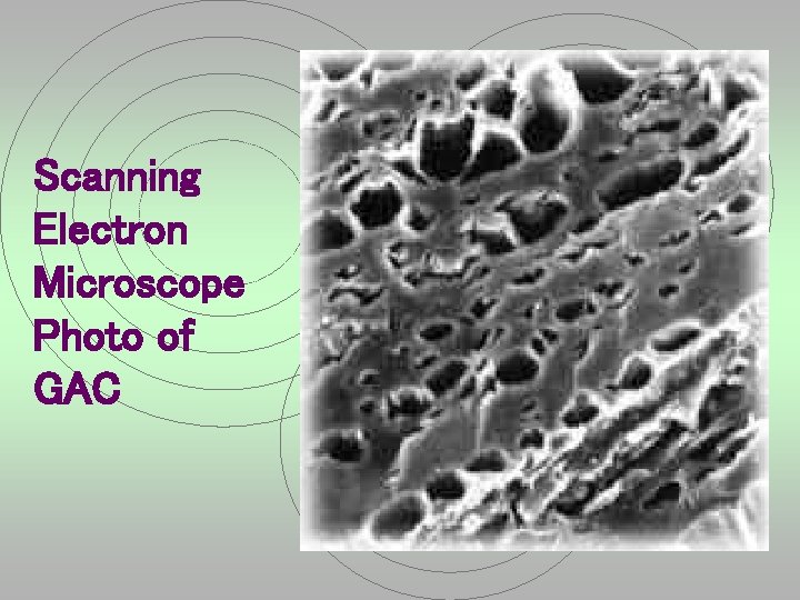 Scanning Electron Microscope Photo of GAC 