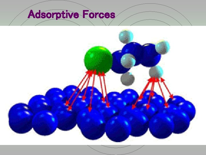 Adsorptive Forces 