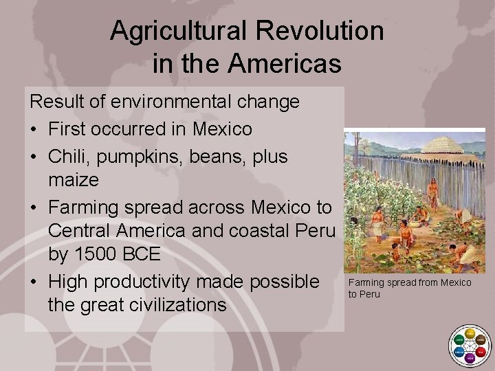 Agricultural Revolution in the Americas Result of environmental change • First occurred in Mexico